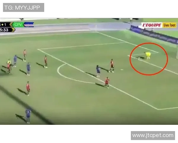 因足球打假球遭杀害的球星背后真相揭露与深度剖析